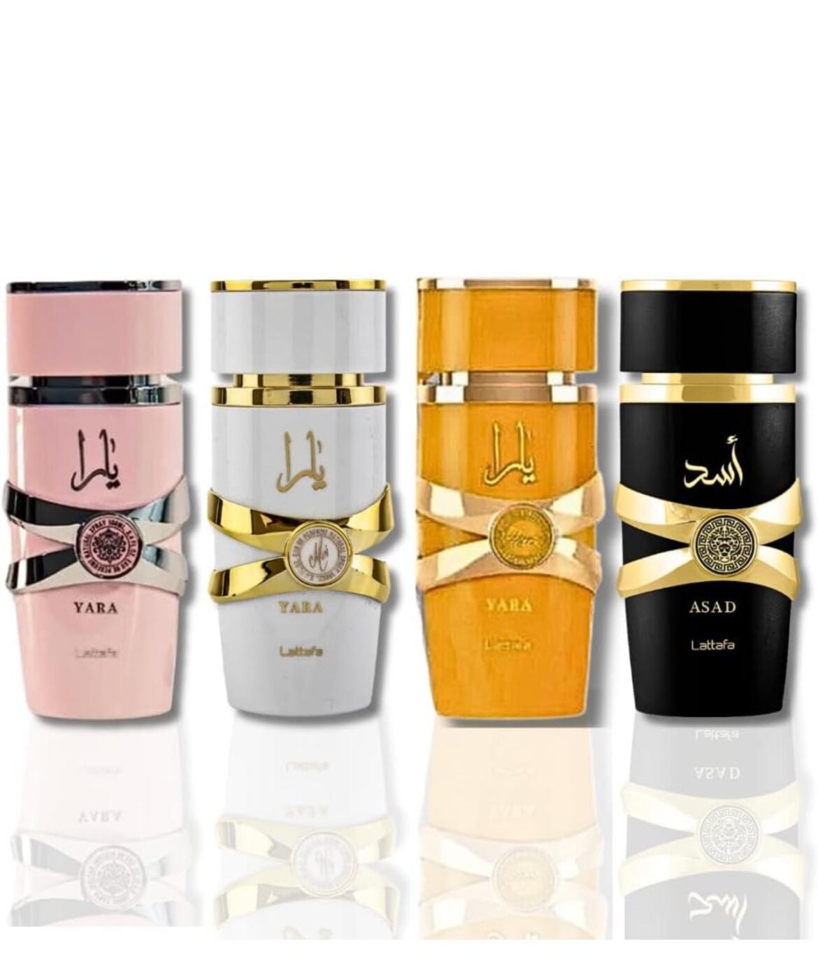 WhatsApp Image 2024 12 24 at 11.49.02 26f25470