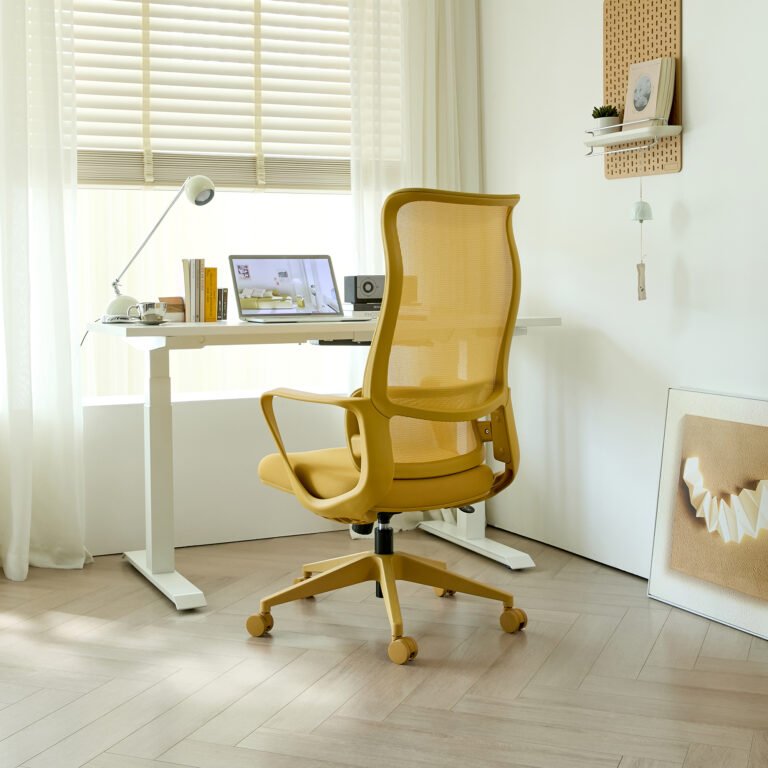 Elevate Your Workspace with the Ergonomic Colorful Office Chair