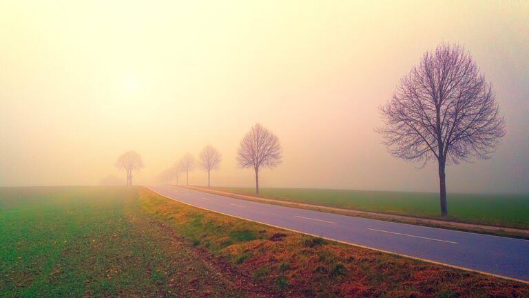 From Morning to Night: A Day’s Worth of Healthy Habits to Boost Your Well-Being
