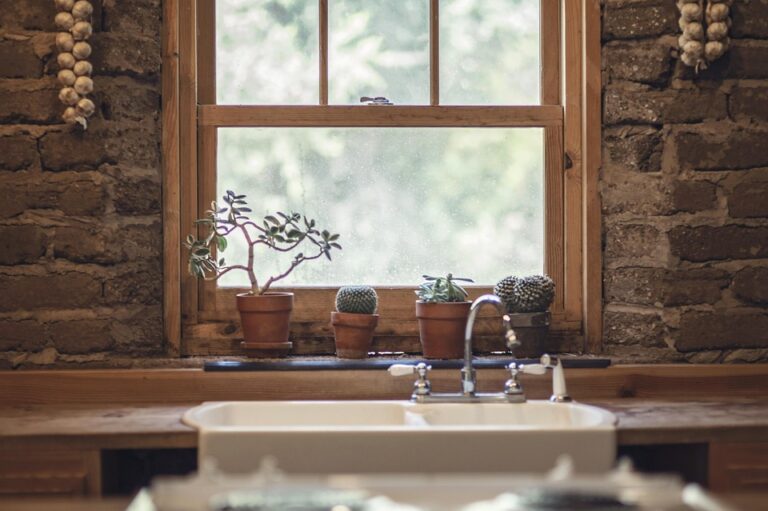 5 Simple Daily Habits to Boost Your Mental Wellness and Transform Your Life