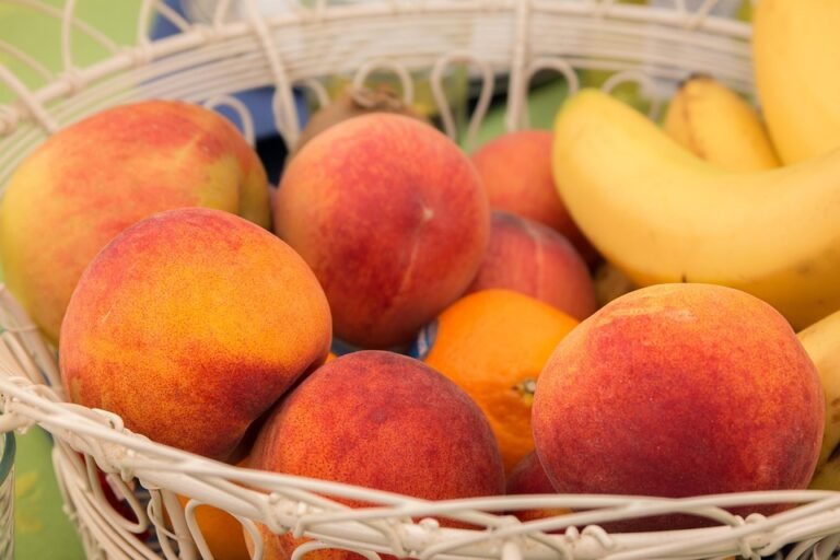 Meal Planning Made Easy: 7 Tips for Eating Healthy Without the Hassle