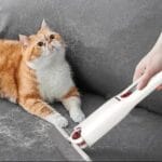 imgpsh fullsize anim 17