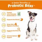 IMG 20240917 WA0015 1