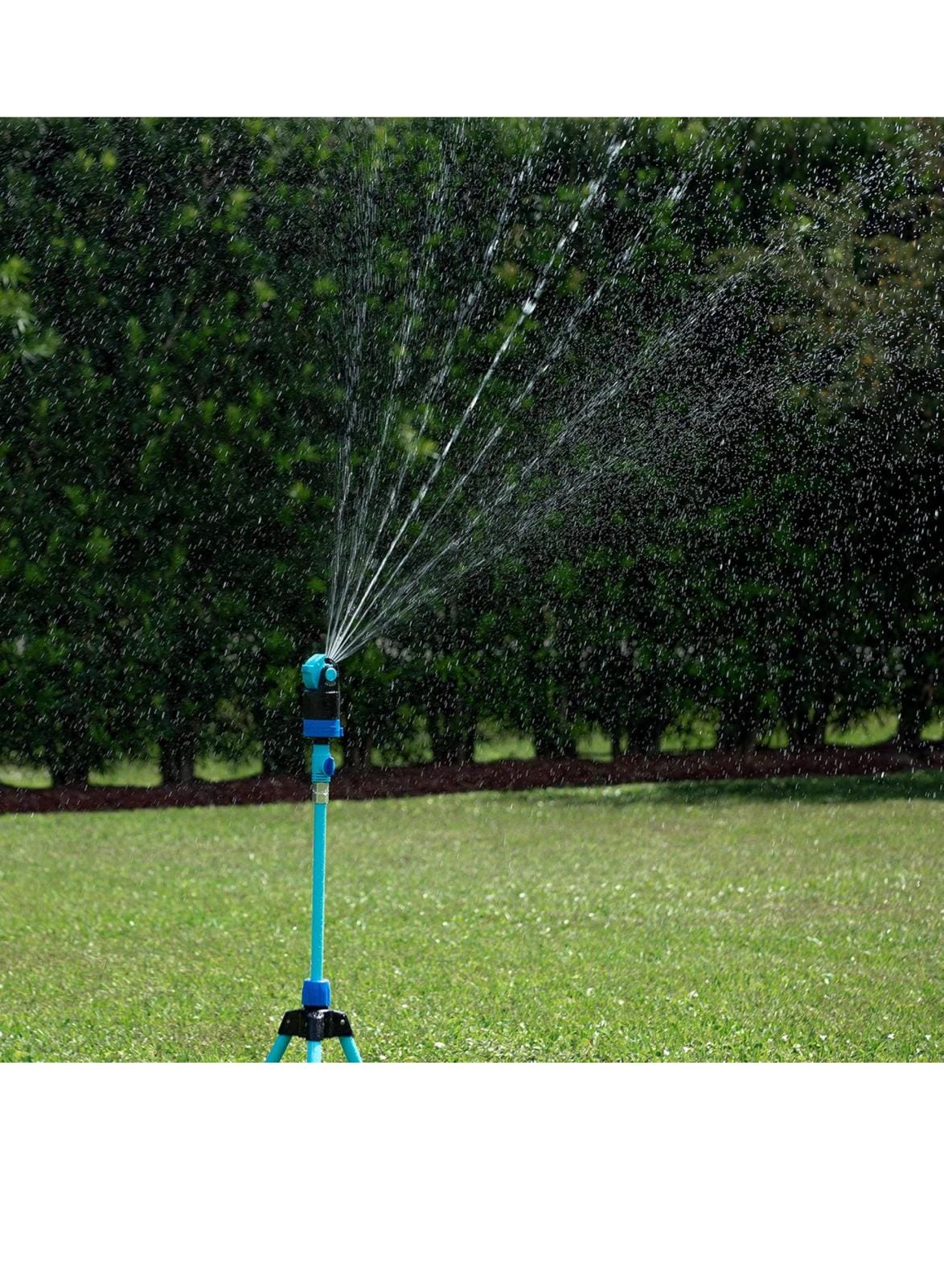 IMG 20240929 WA0078 IMG 20240929 WA0078