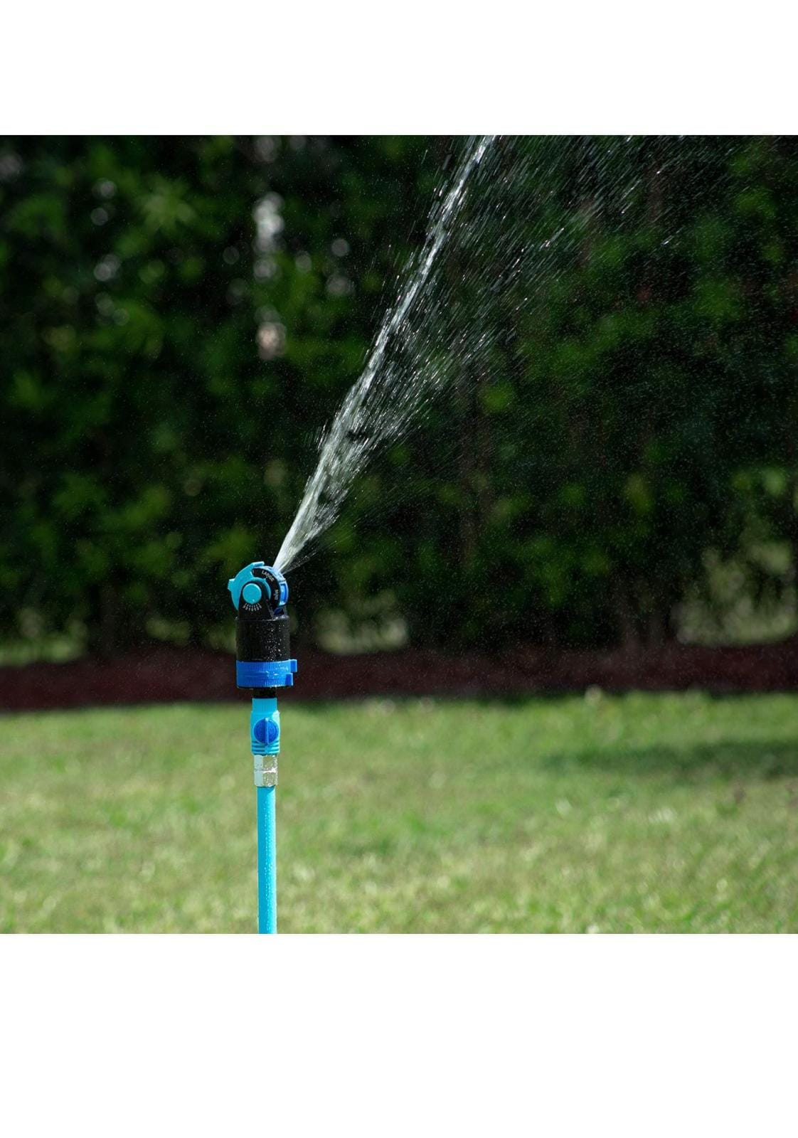 IMG 20240929 WA0079 IMG 20240929 WA0079