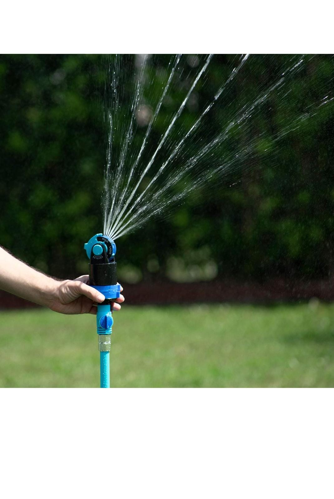 IMG 20240929 WA0080 IMG 20240929 WA0080