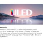 WhatsApp Image 2024 09 18 at 00.17.26 f4e4ba4a