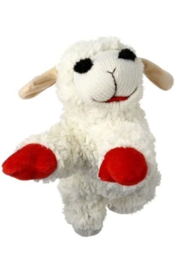 Fly Free Lamb Chop 24 inch