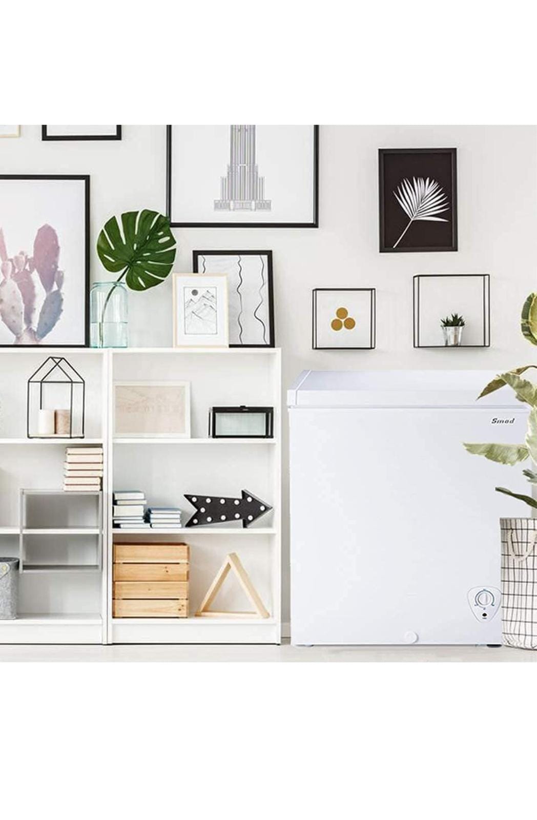 WhatsApp Image 2024 09 19 at 17.52.35 303f1223 WhatsApp Image 2024 09 19 at 17.52.35 303f1223