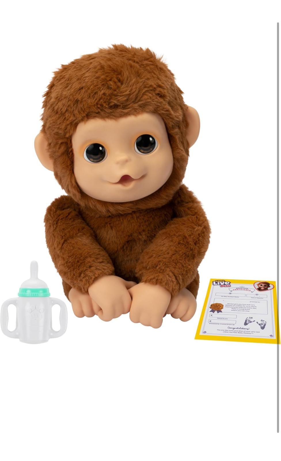 IMG 20241004 WA0011 IMG 20241004 WA0011