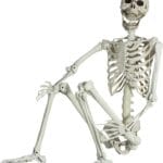 5.4Ft/165cm Posable Halloween Skeleton, Full Body Life Size Skeleton with Movable Joints for Indoor Outdoor Halloween Decorations, Spooky Party Props Decor