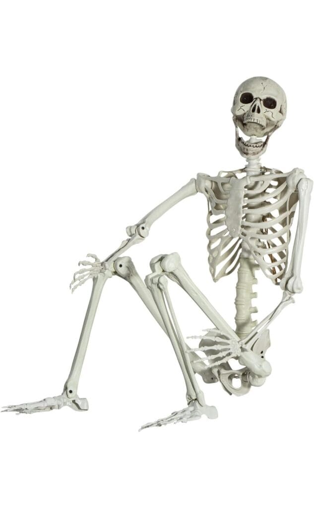 5.4Ft/165cm Posable Halloween Skeleton, Full Body Life Size Skeleton with Movable Joints for Indoor Outdoor Halloween Decorations, Spooky Party Props Decor