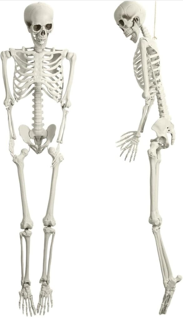 2Pack Skeletons, 5.4Ft Halloween Life Size Skeleton Halloween Decor, Posable Human Skeletons Decorations, Full Size Skeleton with Movable Joints for Halloween Party Outdoor Haunted House Decor