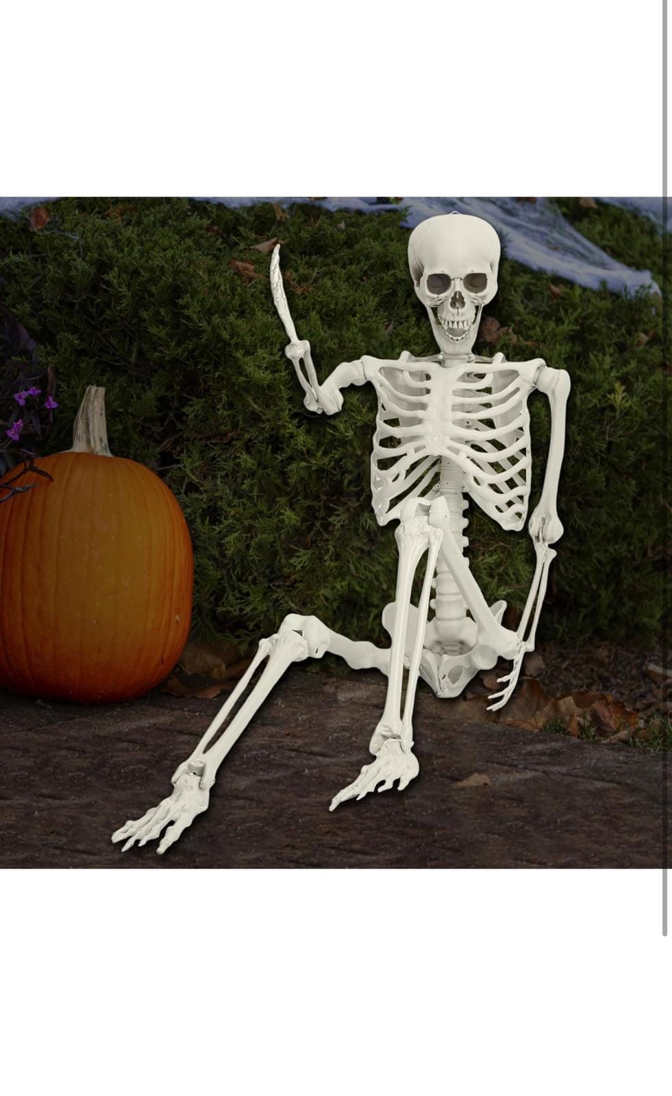 IMG 20241005 WA0006 IMG 20241005 WA0006