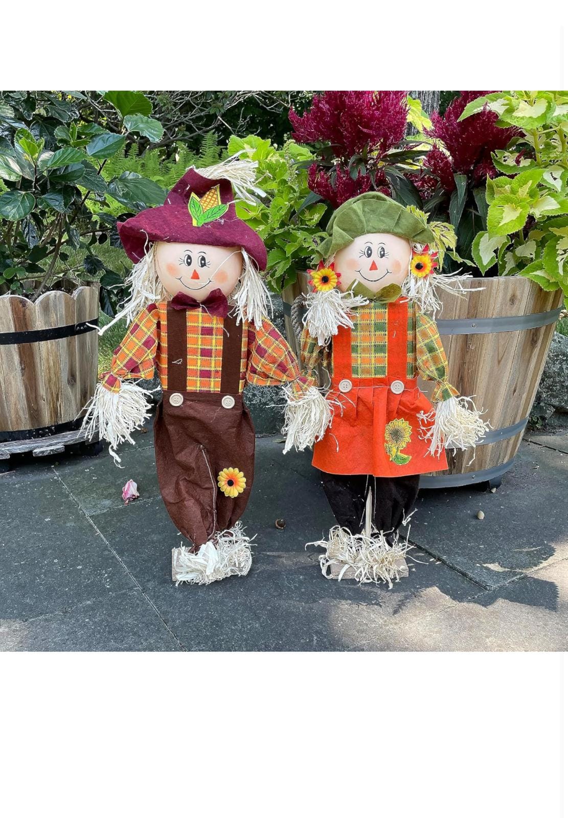 IMG 20241005 WA0026 IMG 20241005 WA0026