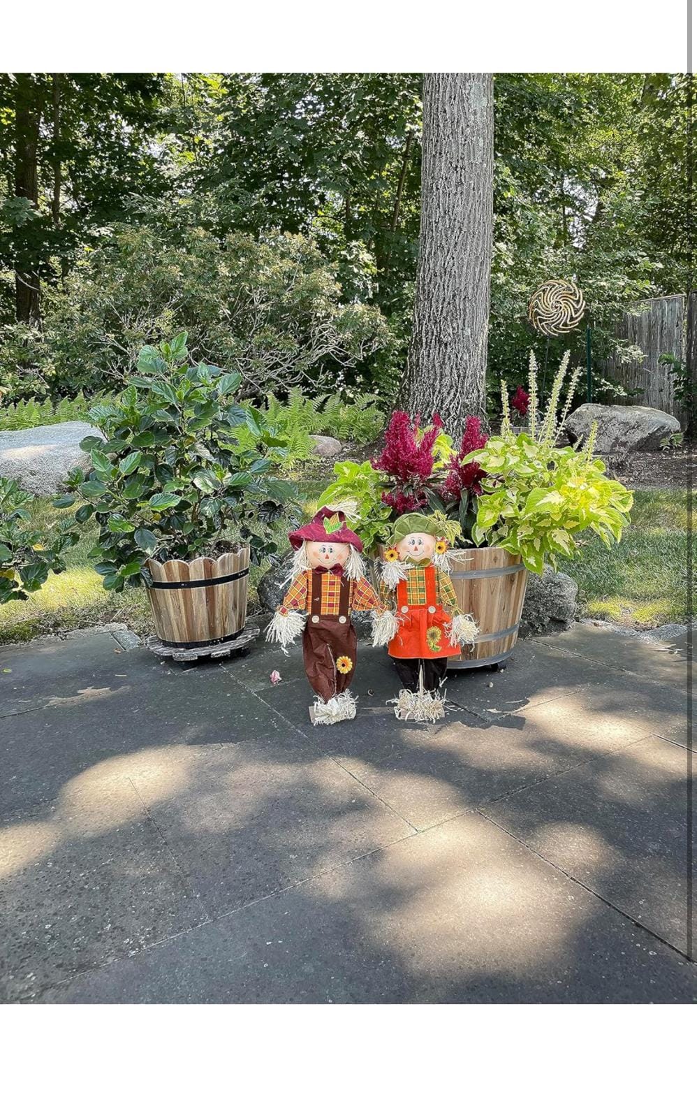 IMG 20241005 WA0027 IMG 20241005 WA0027