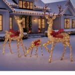 3-Piece Pre-Lit Animated Deer Family