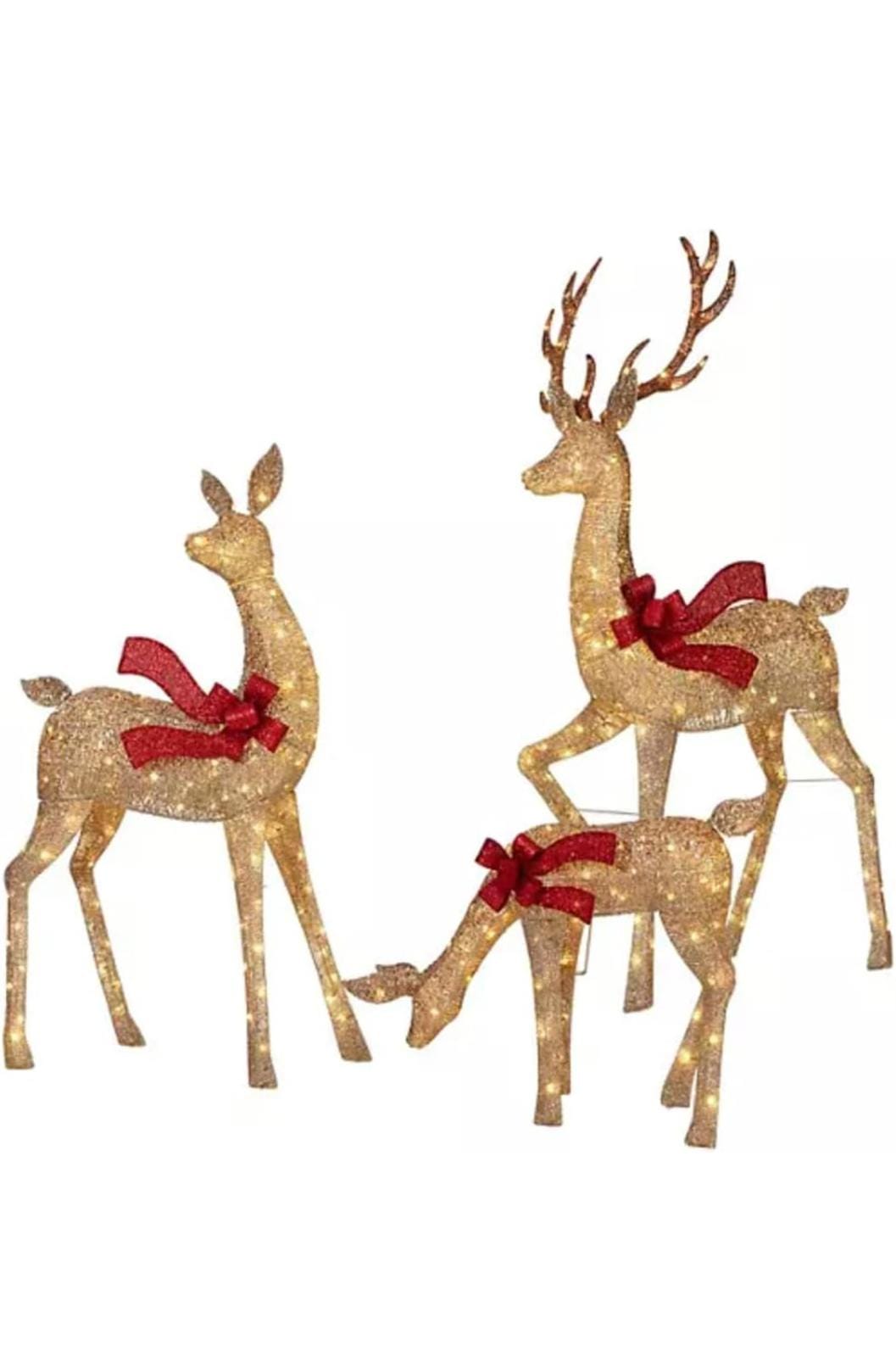 IMG 20241009 WA0022 IMG 20241009 WA0022