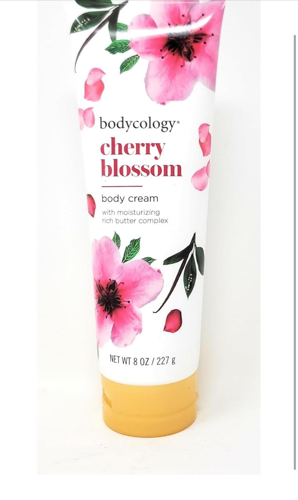 IMG 20241010 WA0018 IMG 20241010 WA0018