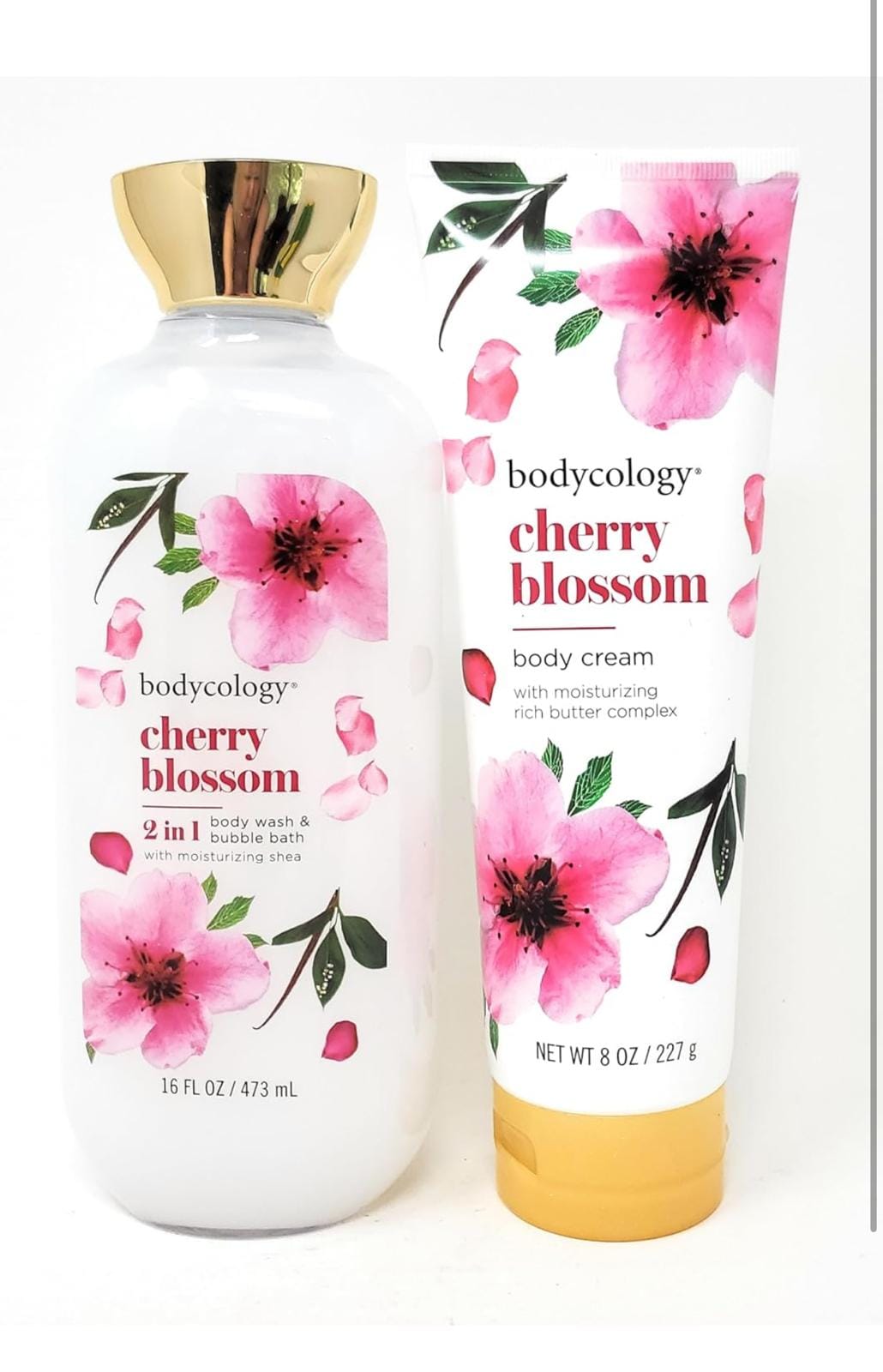 IMG 20241010 WA0020 IMG 20241010 WA0020