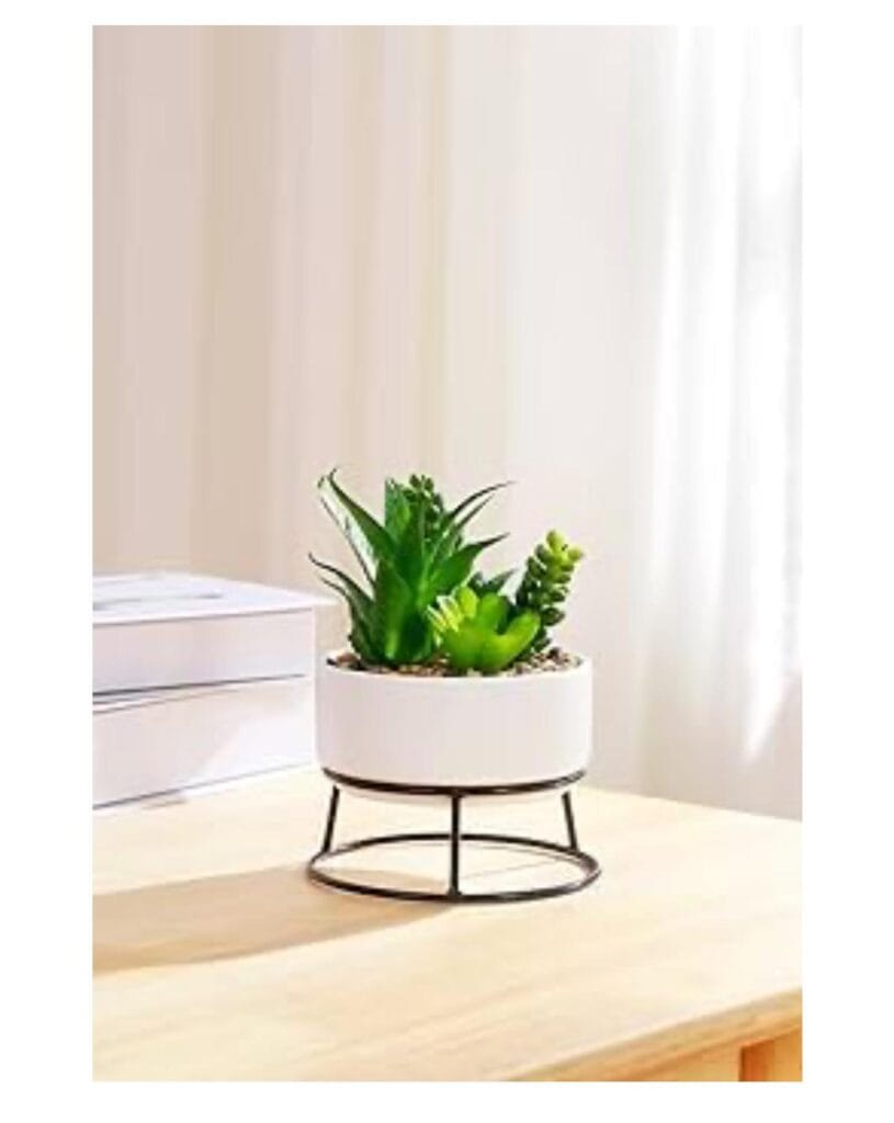 Artificial Mixed Succulents in White Ceramic Planter - Modern Decorative Plant Stand Included