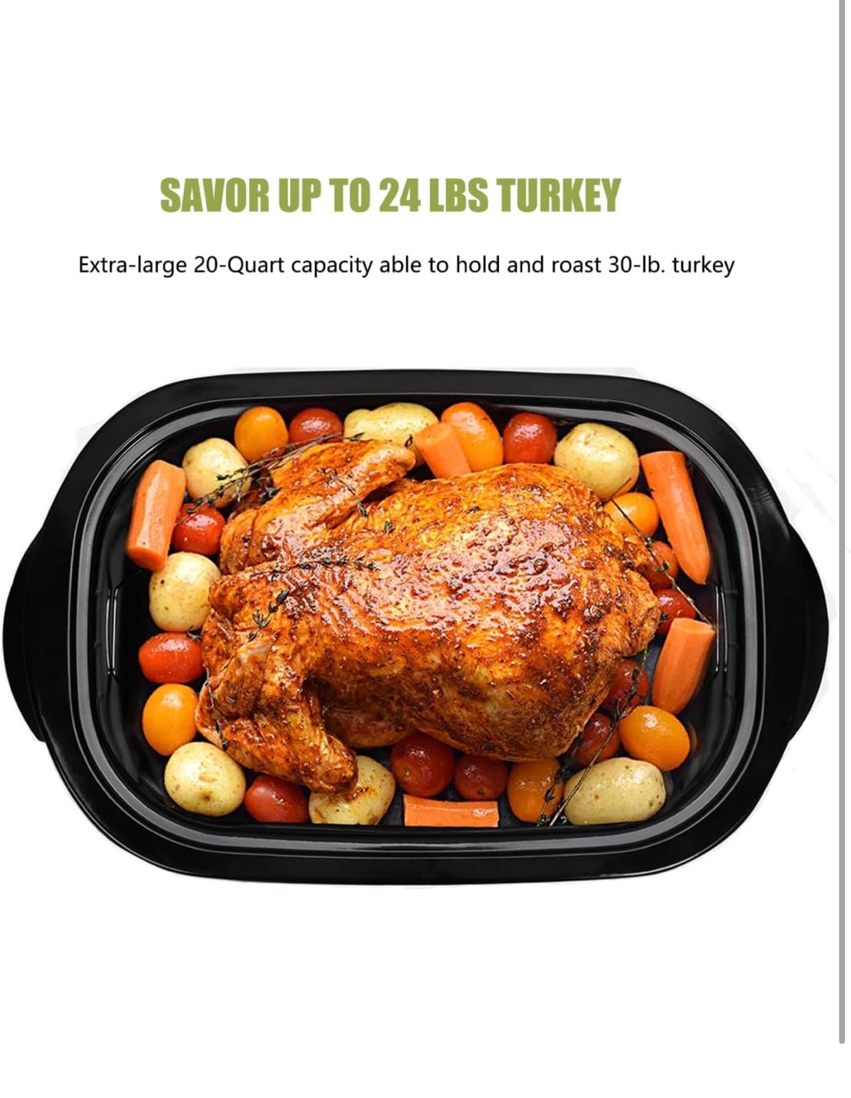 WhatsApp Image 2024 10 02 at 20.08.30 8afae8e7 WhatsApp Image 2024 10 02 at 20.08.30 8afae8e7