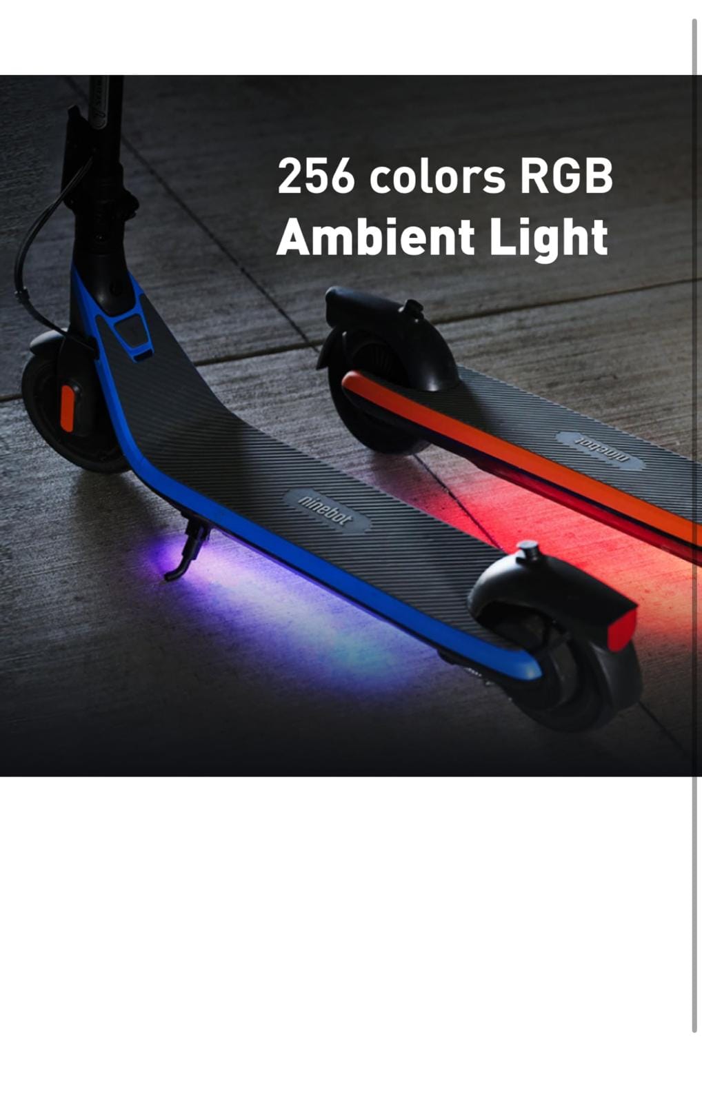 WhatsApp Image 2024 10 05 at 12.15.47 d6c615af