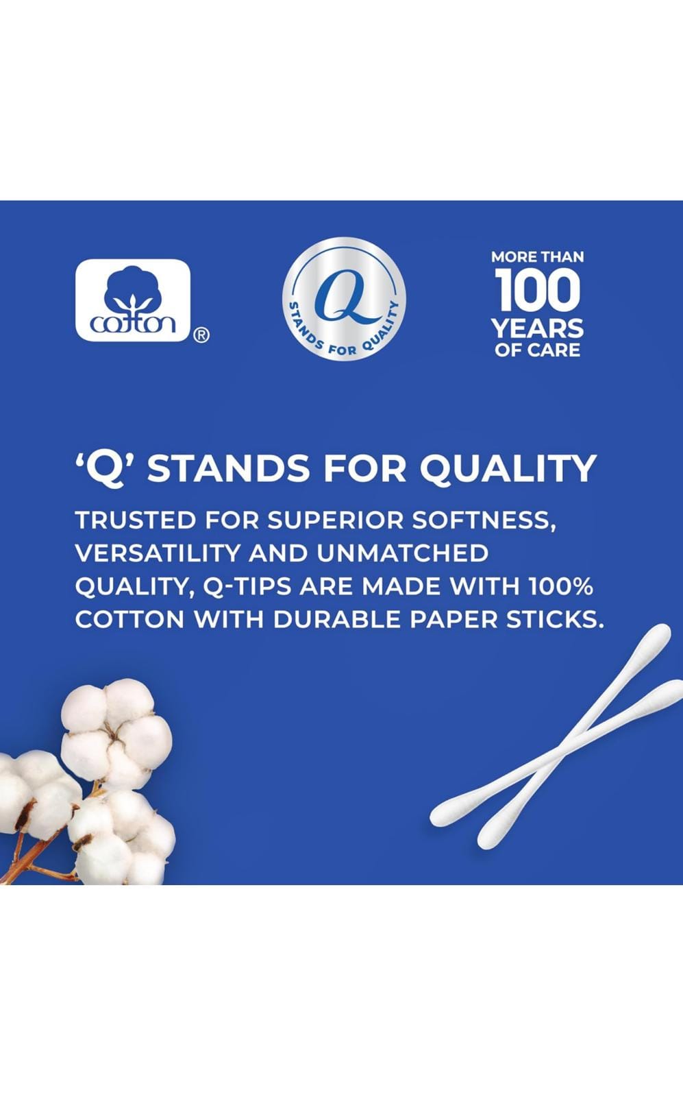 WhatsApp Image 2024 10 10 at 09.45.41 bd8a2c06 WhatsApp Image 2024 10 10 at 09.45.41 bd8a2c06