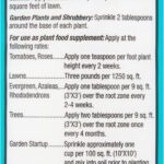 WhatsApp Image 2024 10 15 at 19.59.17 6d992848