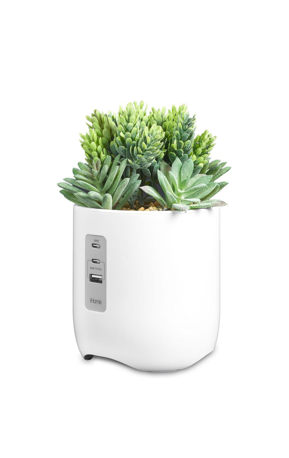 IMG 20241123 WA0017 IMG 20241123 WA0017