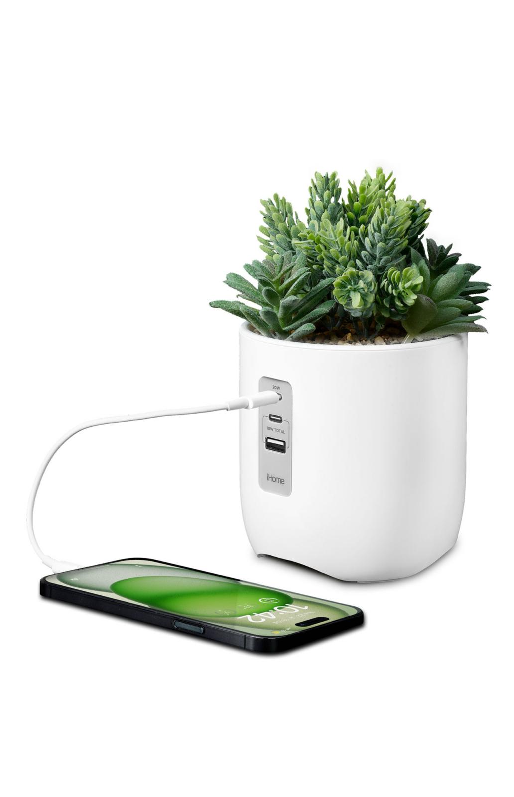 IMG 20241123 WA0018 IMG 20241123 WA0018