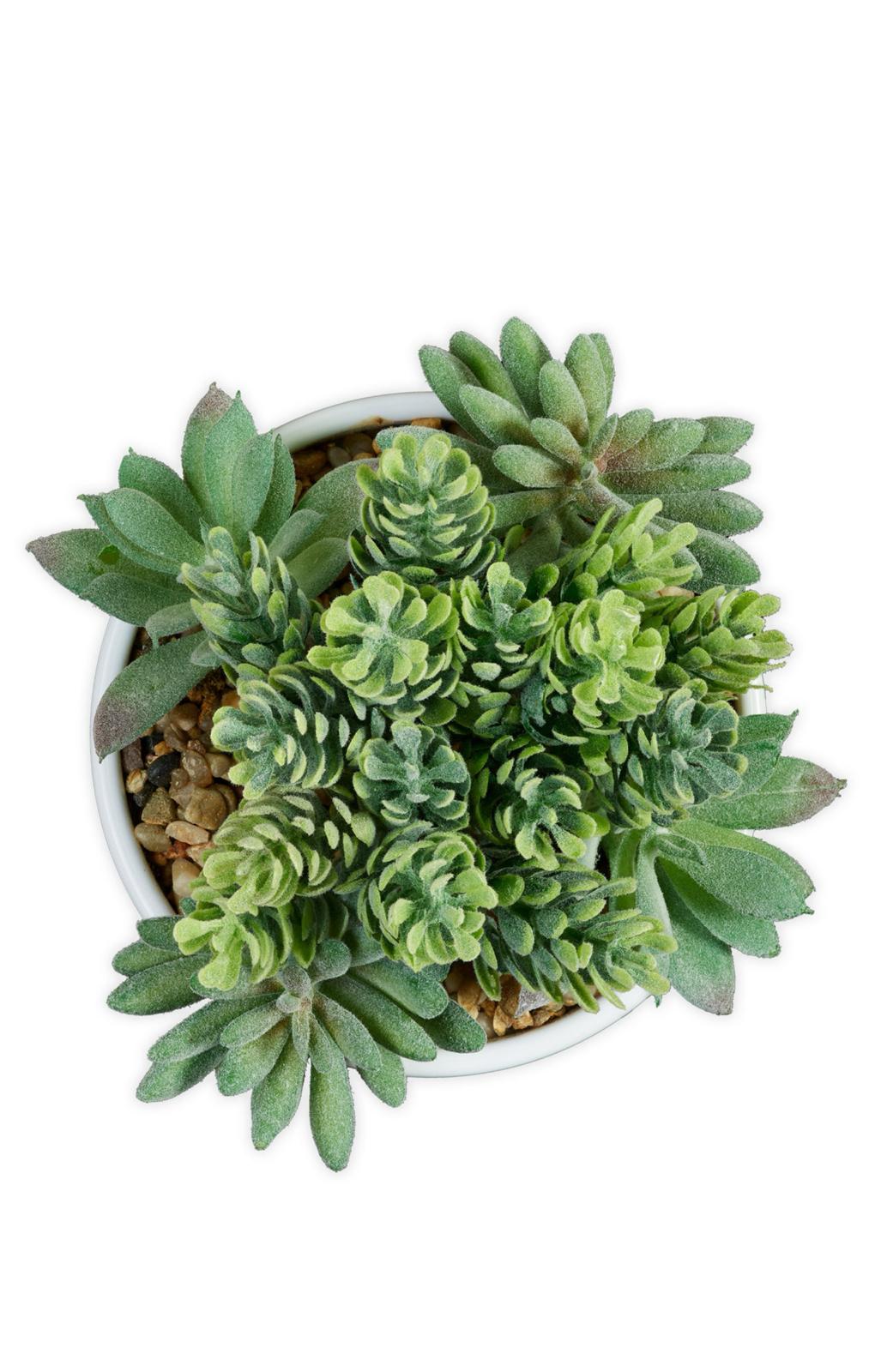 IMG 20241123 WA0021 IMG 20241123 WA0021