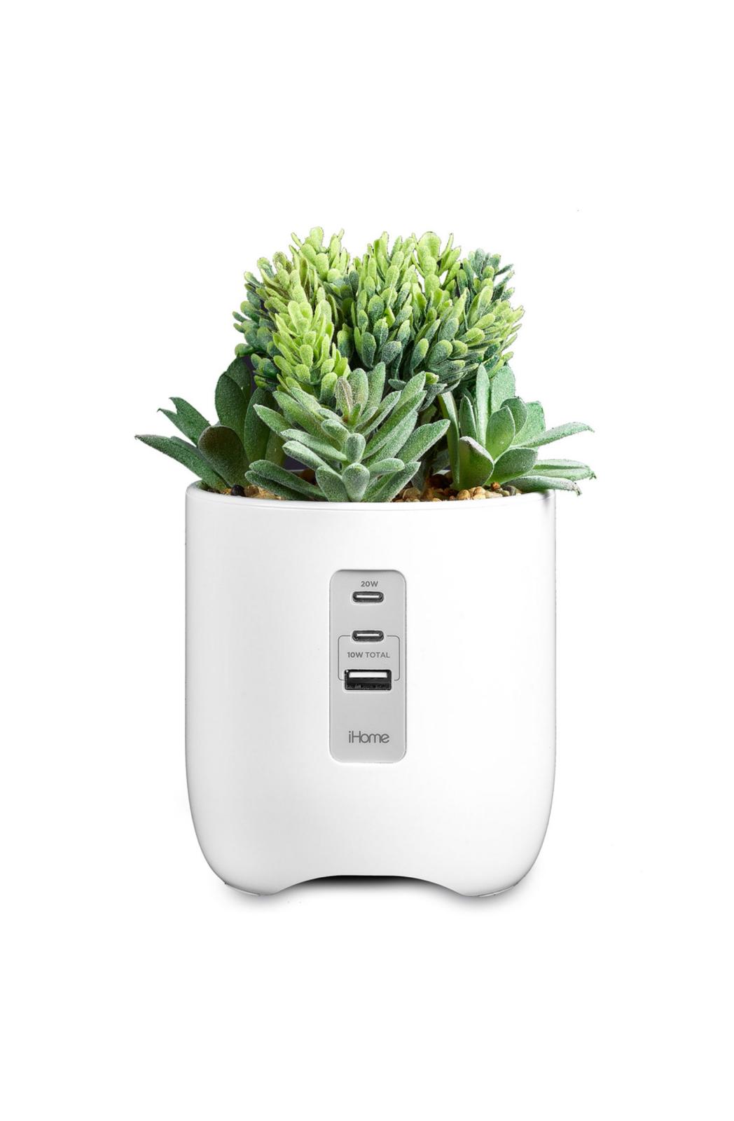 IMG 20241123 WA0024 IMG 20241123 WA0024