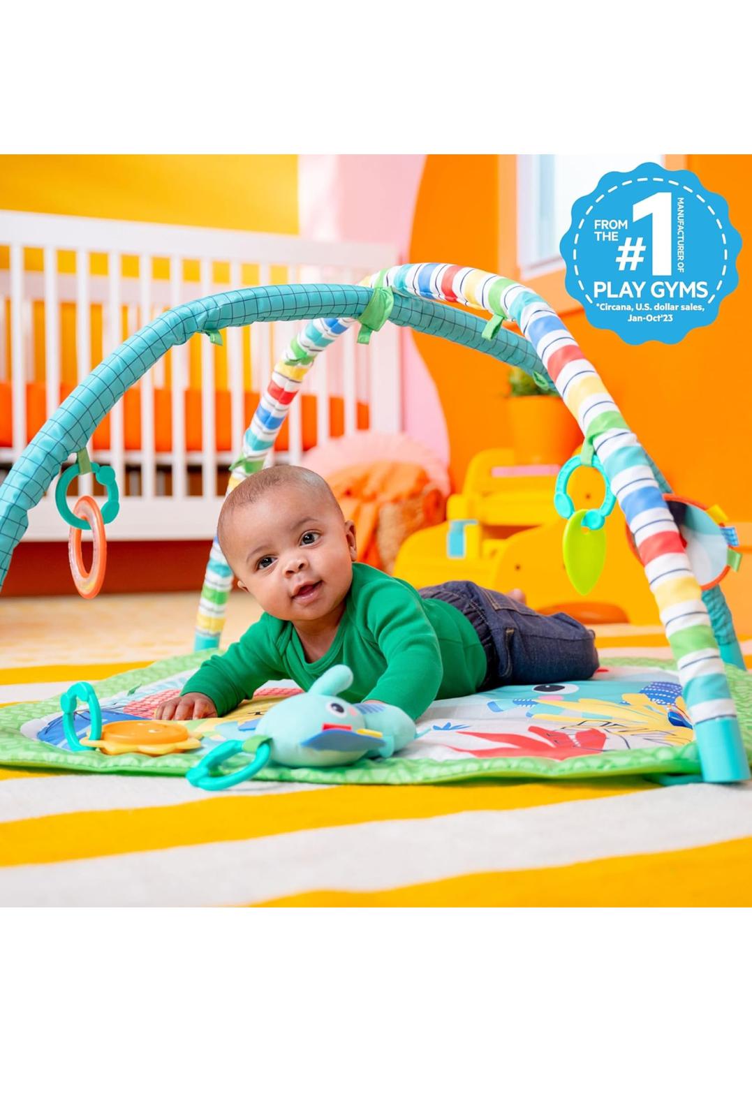 IMG 20241230 WA0011 IMG 20241230 WA0011