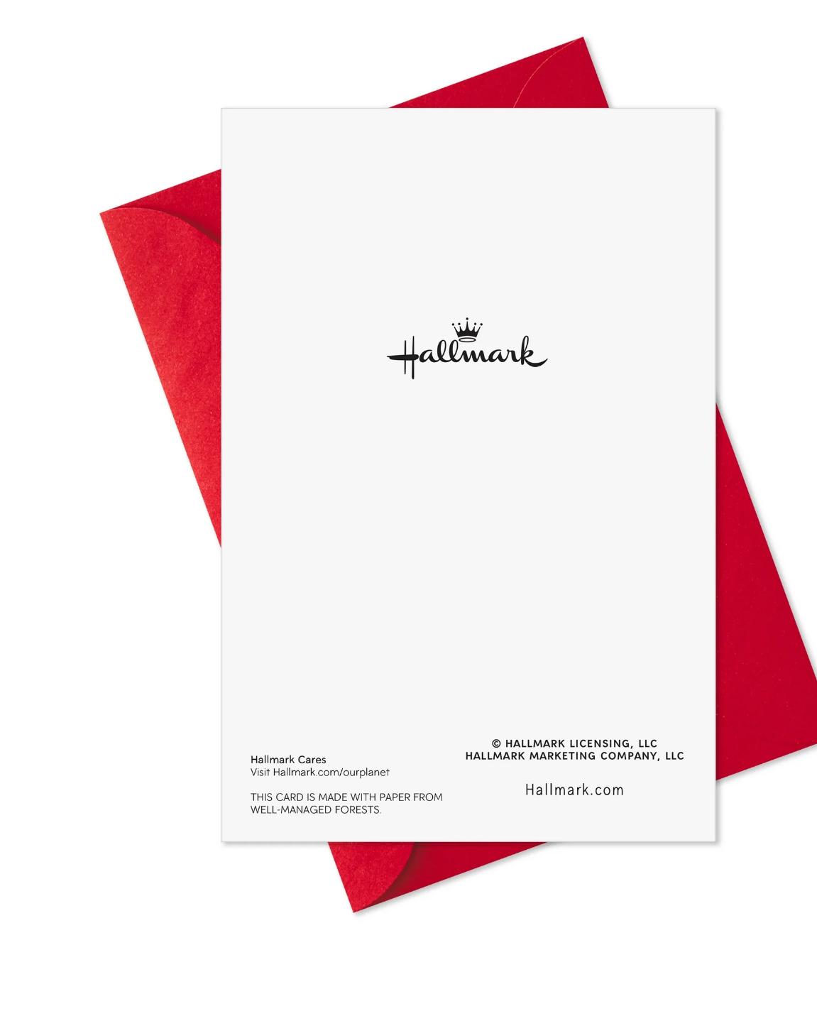 IMG 20250208 WA0022 IMG 20250208 WA0022