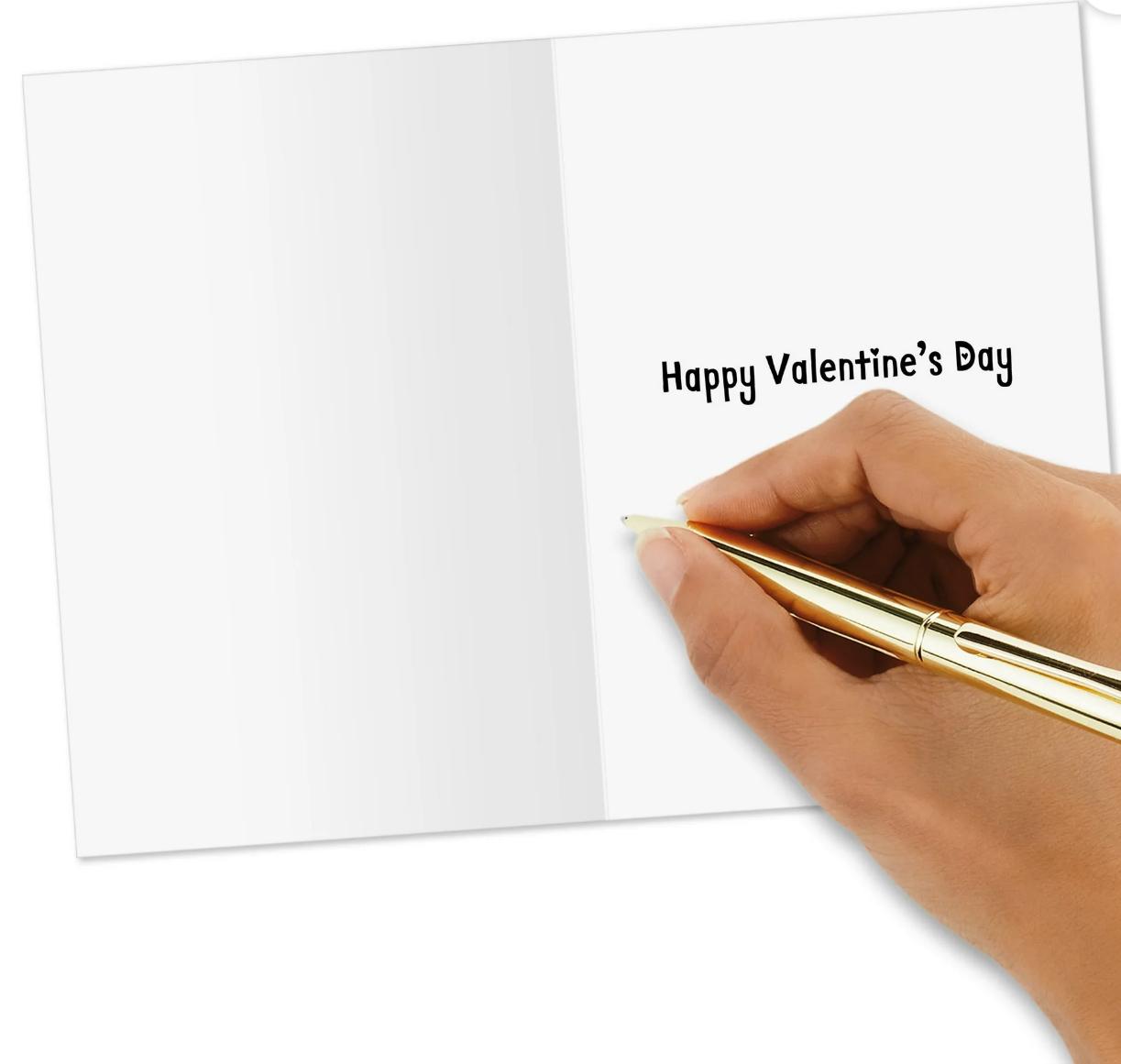 IMG 20250208 WA0023 IMG 20250208 WA0023