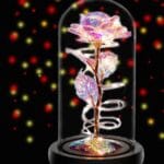 Rose Flower Gifts for Women,Birthday Gifts For Women,Womens Gifts for Christmas,Colorful Rainbow Artificial Flower Rose Light Up Rose in A Glass Dome,Flower Gifts For Her,Anniversary