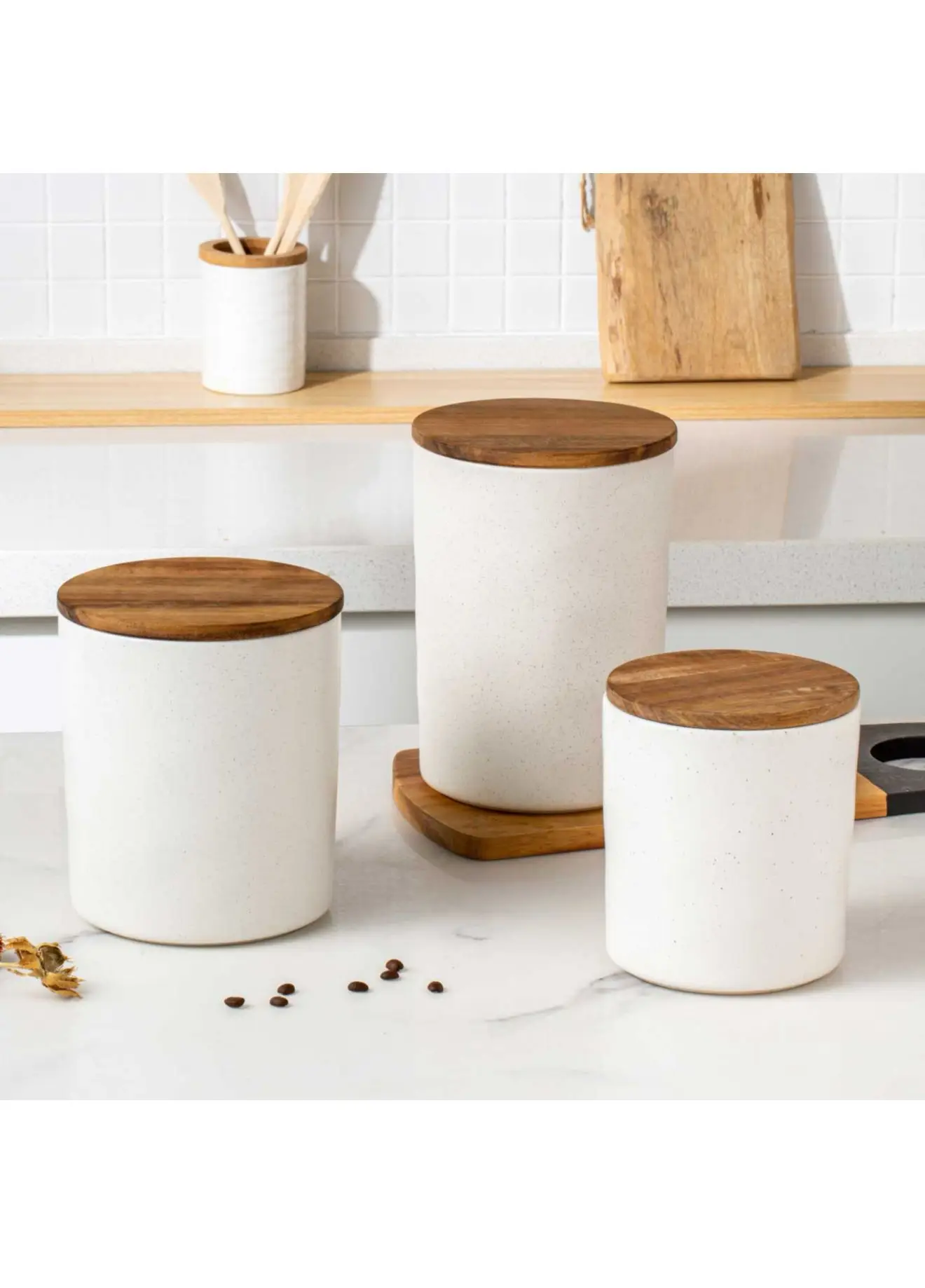 IMG 20250226 WA0024 IMG 20250226 WA0024