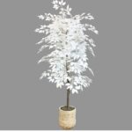 WhatsApp Image 2025 02 15 at 21.07.46 790ac26a