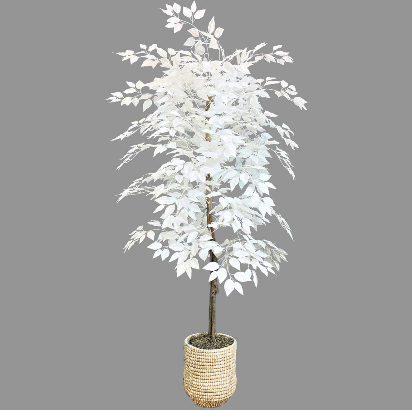 WhatsApp Image 2025 02 15 at 21.07.46 790ac26a WhatsApp Image 2025 02 15 at 21.07.46 790ac26a