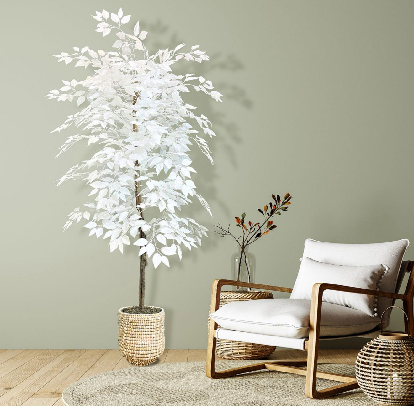 WhatsApp Image 2025 02 15 at 21.07.56 c1925f00 WhatsApp Image 2025 02 15 at 21.07.56 c1925f00