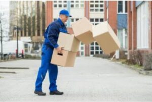 WhatsApp Image 2025 03 01 at 01.48.07 d411c9f0 WhatsApp Image 2025 03 01 at 01.48.07 d411c9f0