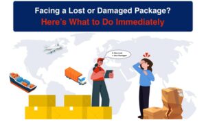 IMG 20250301 WA0012 WhatsApp Image 2025 03 01 at 01.54.25 008f758f