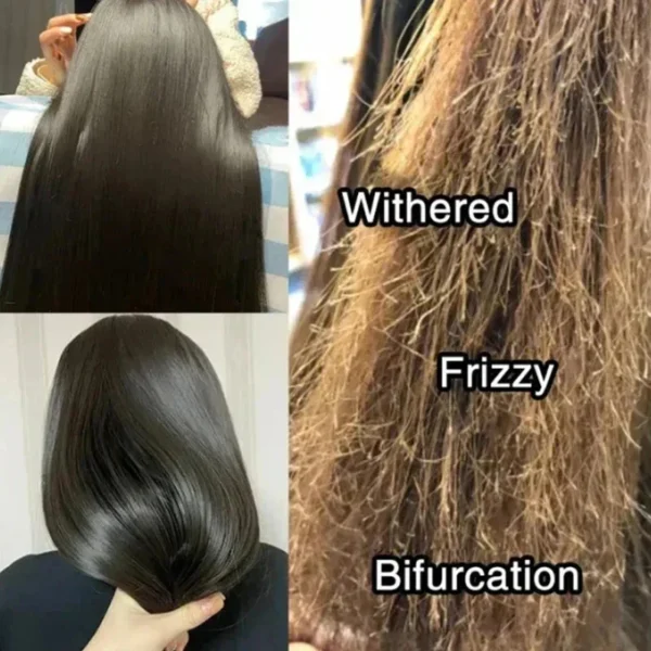 kf Sa5220c6475f54e75b85ab40e1e1f5c6cI