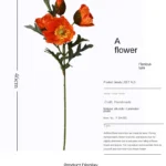 kf Sfbbd409c94334b1f927794105bd8393bP