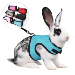 Multi-Color Breathable Pet Vest Carrier with Leash , Adjustable Harness Set for Rabbits, Guinea Pigs & Small Pets