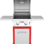 Nexgrill Deluxe 2-Burner Propane Gas Gril, 28,000 BTU BBQ with Warming Rack & 401 sq. in. Cooking Space | Outdoor Patio Barbecue