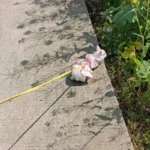 kf Sb320e32bb59346ad9ffbdbd24f63d000q