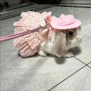 Cotton Rabbit Harness Dress & Leash Set ,Summer Outfit for Bunnies and Small Pets | Outdoor Pet Walking Clothes