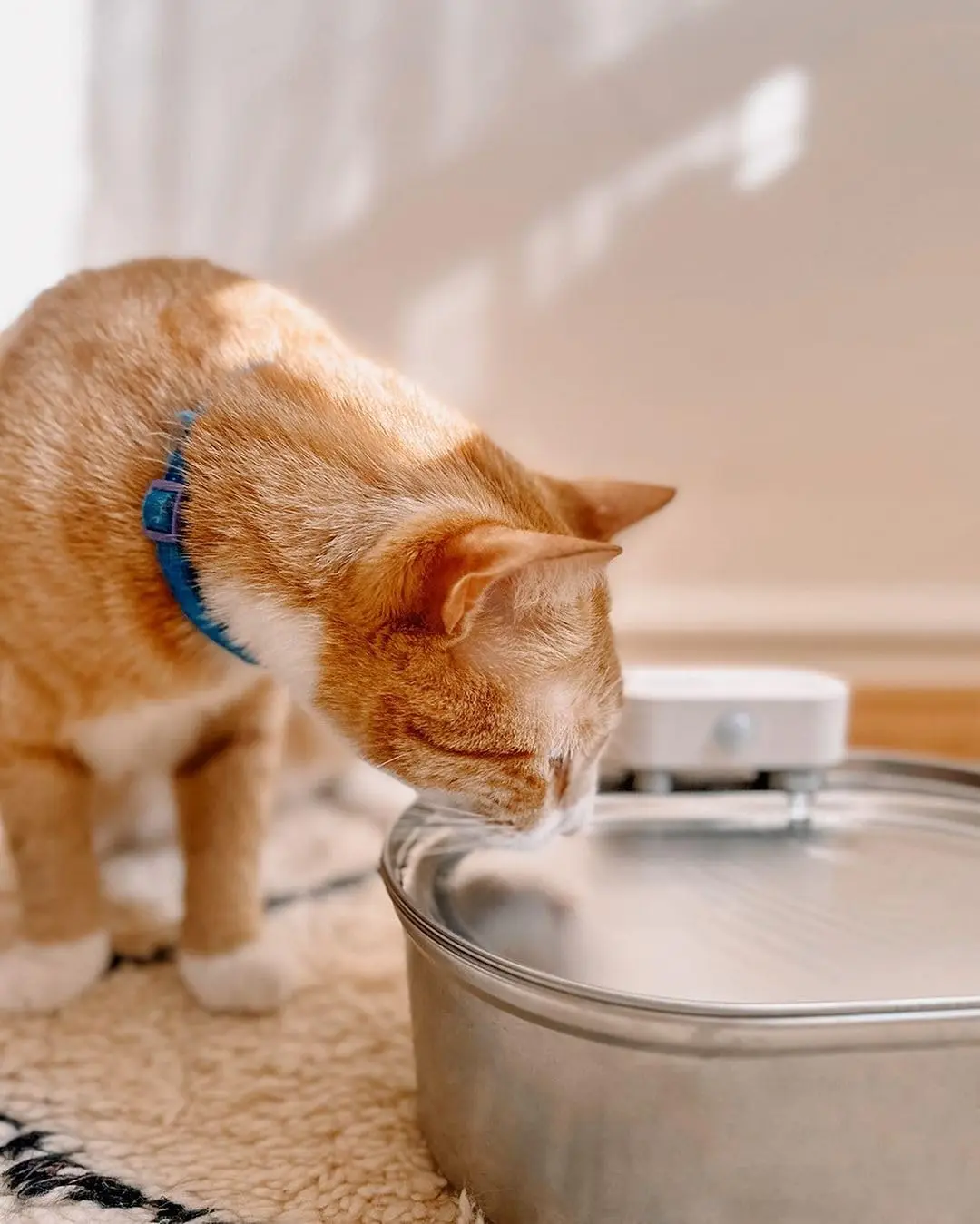 kf Sf574462e12a14dc2836da82470b485a3P kf Sf574462e12a14dc2836da82470b485a3P